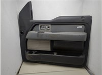  Дверная карта (Обшивка двери) Ford F-150 2009-2014 20336596 #1