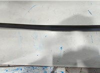  Молдинг стекла (боковое) Tesla Model S 20337567 #2