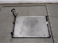  Радиатор охлаждения двигателя Subaru Tribeca (B9) 2004-2007 20337590 #1