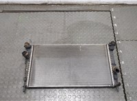  Радиатор охлаждения двигателя Ford C-Max 2002-2010 20337832 #1