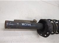  Амортизатор подвески Skoda Octavia (A5) 2008-2013 20338592 #3