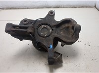 2E0407304M Ступица (кулак, цапфа) Volkswagen Crafter 2006-2016 20338783 #5