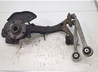  Ступица (кулак, цапфа) Volkswagen Passat 5 2000-2005 20338796 #1
