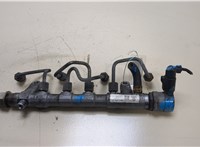 Рампа (рейка) топливная Volkswagen Crafter 2006-2016 20339018 #1