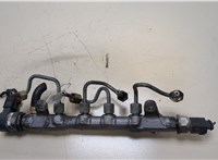  Рампа (рейка) топливная Volkswagen Crafter 2006-2016 20339018 #4