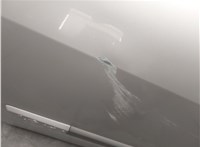  Дверь боковая (легковая) Renault Scenic 2003-2009 20339055 #4