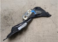 1908911, DS73F16800BD Петля капота Ford Mondeo 5 2015-2019 20339373 #4