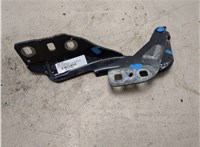 1908912, DS73F16801BD Петля капота Ford Mondeo 5 2015-2019 20339381 #6