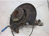  Ступица (кулак, цапфа) BMW X5 E53 2000-2007 20339598 #1