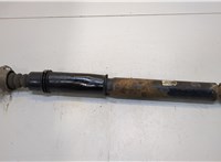  Амортизатор подвески Citroen C4 2004-2010 20340633 #1