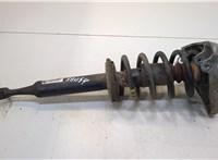  Амортизатор подвески Audi A4 (B6) 2000-2004 20340640 #1