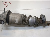  Амортизатор подвески Volkswagen Touareg 2002-2007 20340657 #1