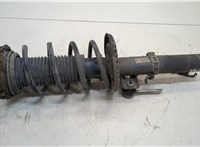  Амортизатор подвески Volkswagen Polo 2001-2005 20340896 #1