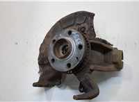  Ступица (кулак, цапфа) Audi A3 (8L) 1996-2003 20341022 #1