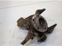  Ступица (кулак, цапфа) Seat Leon 1999-2006 20341050 #1