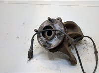  Ступица (кулак, цапфа) Ford Puma 1997–2003 20341118 #1