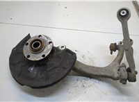  Ступица (кулак, цапфа) Audi A4 (B6) 2000-2004 20341146 #1