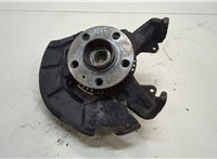  Ступица (кулак, цапфа) Audi A3 (8L) 1996-2003 20341400 #1