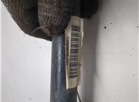 4743162AA Стабилизатор подвески (поперечной устойчивости) Chrysler Pacifica 2003-2008 20341467 #2