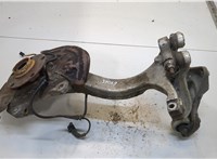  Ступица (кулак, цапфа) Audi A6 (C5) 1997-2004 20341498 #1