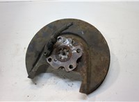  Ступица (кулак, цапфа) Volkswagen Golf 4 1997-2005 20341608 #1