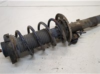  Амортизатор подвески Skoda Fabia 1999-2004 20341679 #1