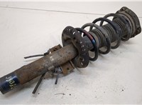  Амортизатор подвески Volkswagen Polo 2001-2005 20341681 #1