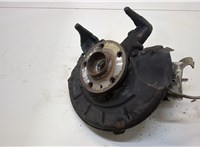  Ступица (кулак, цапфа) Skoda Fabia 1999-2004 20341691 #1