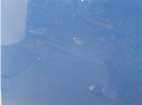  Обшивка капота Volkswagen Golf 4 1997-2005 11368430 #6