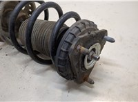  Амортизатор подвески Honda Civic 2006-2012 20341857 #2