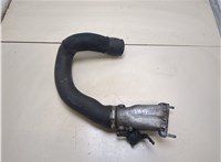  Заслонка дроссельная Audi A6 (C5) 1997-2005 20342104 #2