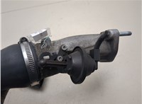  Заслонка дроссельная Audi A6 (C5) 1997-2005 20342104 #8