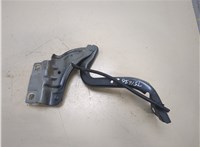  Петля капота Renault Megane 4 2016-2020 20342481 #1