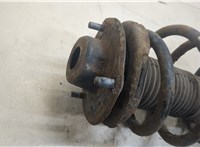  Амортизатор подвески Lexus RX 1998-2003 20343065 #2