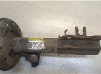  Амортизатор подвески Chevrolet Aveo (T300) 2011- 20343087 #3