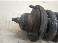  Амортизатор подвески Toyota Land Cruiser Prado (120) - 2002-2009 20343286 #3