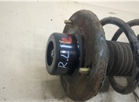  Амортизатор подвески Suzuki Liana 20343301 #2
