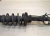  Амортизатор подвески Audi TT (8N) 1998-2006 20343579 #1