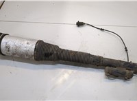  Амортизатор подвески Mercedes S W220 1998-2005 20343633 #1