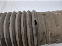  Амортизатор подвески Mercedes S W220 1998-2005 20343633 #5