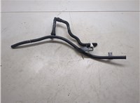  Щуп двигателя BMW 3 E46 1998-2005 20343676 #1