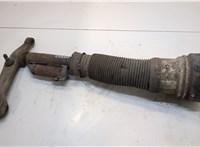  Амортизатор подвески Mercedes S W220 1998-2005 20343730 #1