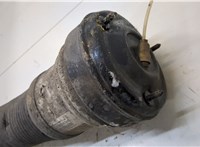  Амортизатор подвески Mercedes S W220 1998-2005 20343730 #2