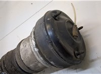  Амортизатор подвески Mercedes S W220 1998-2005 20343863 #2