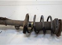  Амортизатор подвески Toyota Corolla E12 2001-2006 20343873 #1