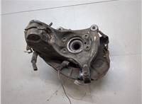 1K0407621F, 3C0407253F, 1K0615311F Ступица (кулак, цапфа) Volkswagen Passat 6 2005-2010 20344072 #3