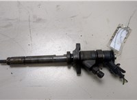 1633633 Форсунка топливная Ford Focus 2 2008-2011 20344305 #1