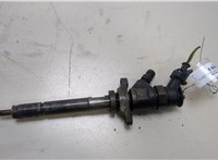 1633633 Форсунка топливная Ford Focus 2 2008-2011 20344307 #1