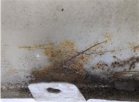  Кронштейн бампера Suzuki Grand Vitara 2005-2015 11370439 #4