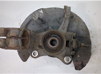  Ступица (кулак, цапфа) Volkswagen Transporter 5 2009-2015 20345474 #1